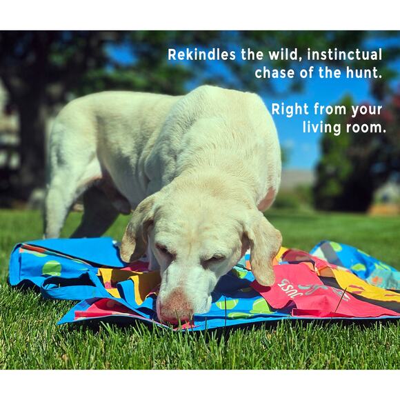 The Busy Blanket Snuffle Mat for Dogs of All Sizes & Breeds - Dog Snuffle Mat - Picture 8 of 9
